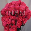 hot pink spray roses